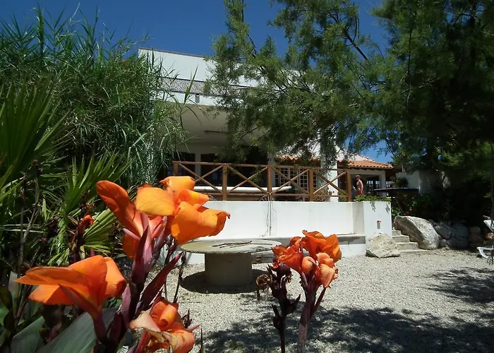 Хостел Da Silva Surfcamp Арея-Бранка